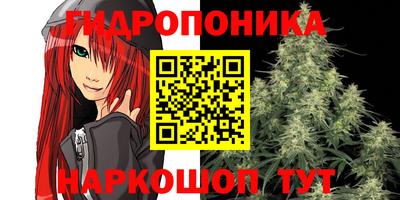 прущие грибы Чапаевск